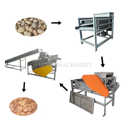 Dây chuyền sản xuất vỏ hạnh nhân