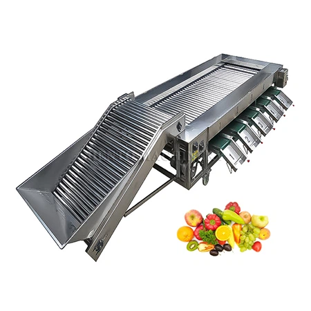 Máy phân loại rau quả