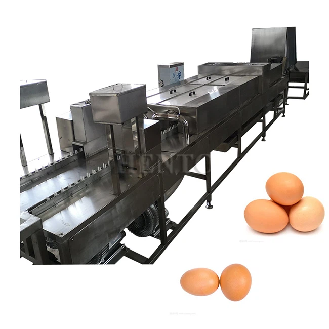 Máy giặt trứng vịt gà