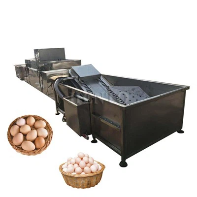 Dòng máy giặt trứng
