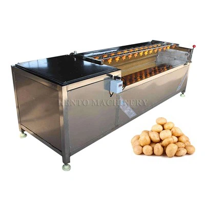 Máy giặt khoai tây và bong tróc